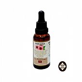 E.2297 | Βάμμα Εχινάκειας : 1